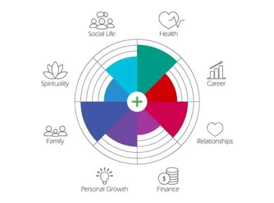 Wheel of life. Diagram icon. Coaching tool concept. Various spheres of life.